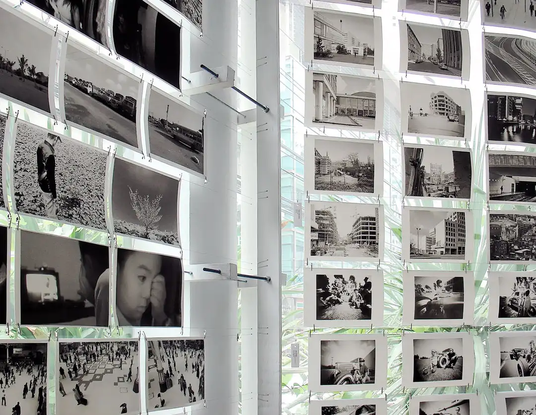 600 Images