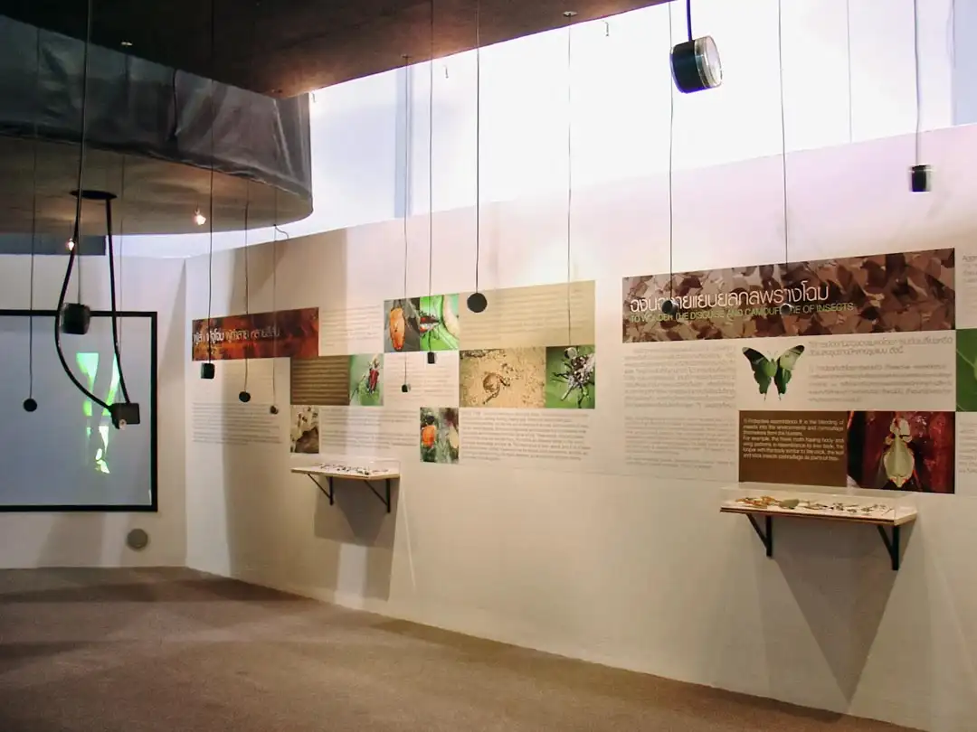 Insect Pavilion