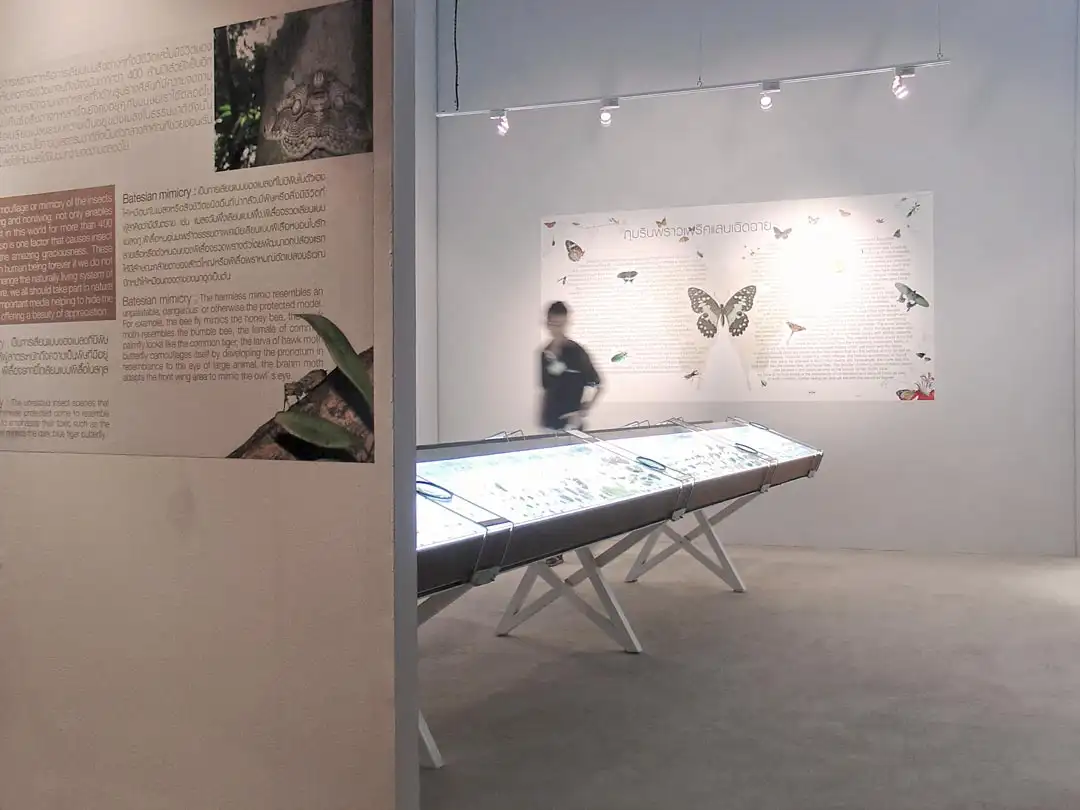 Insect Pavilion