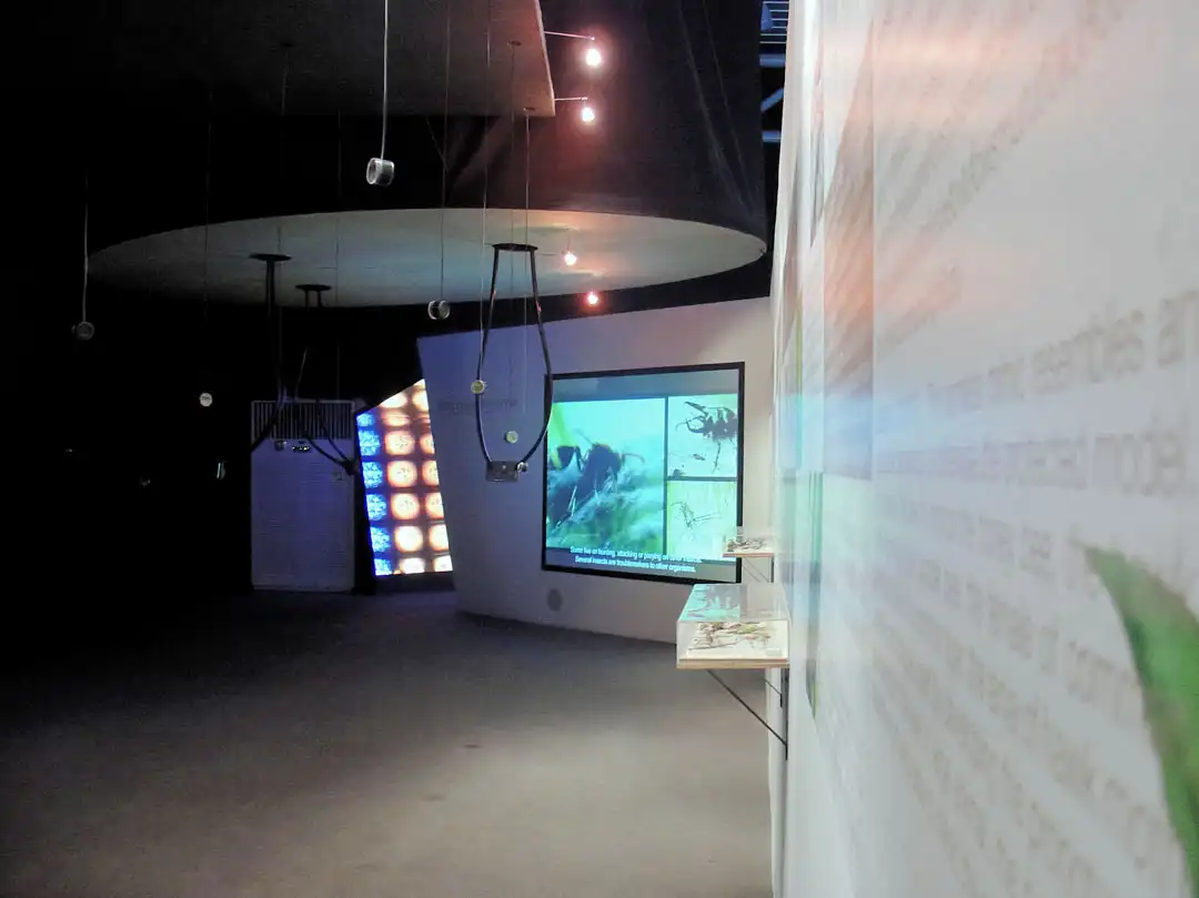 Insect Pavilion