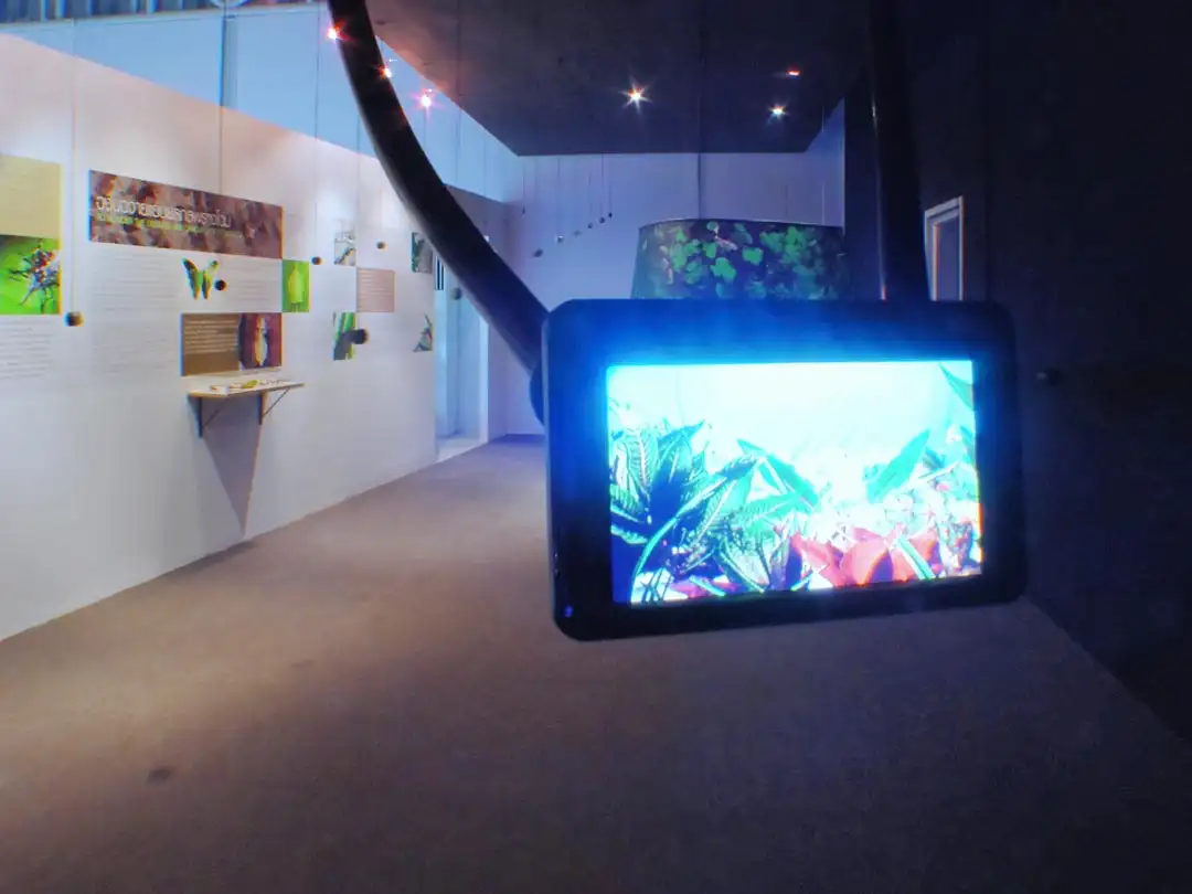 Insect Pavilion