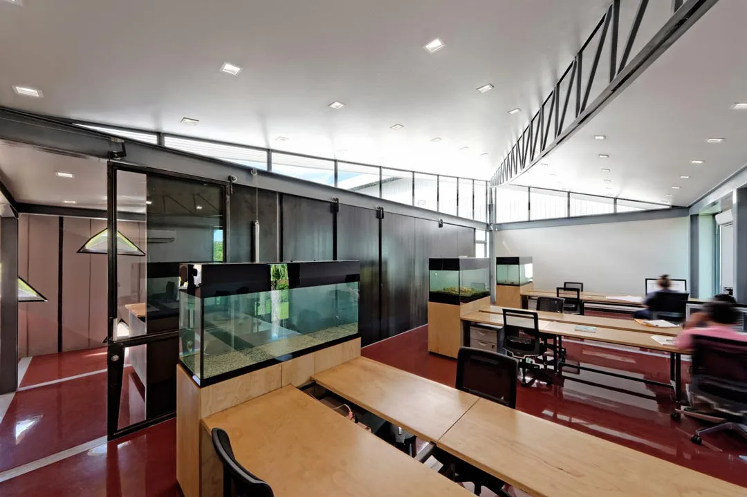 Diamonds &&nbsp;Rust