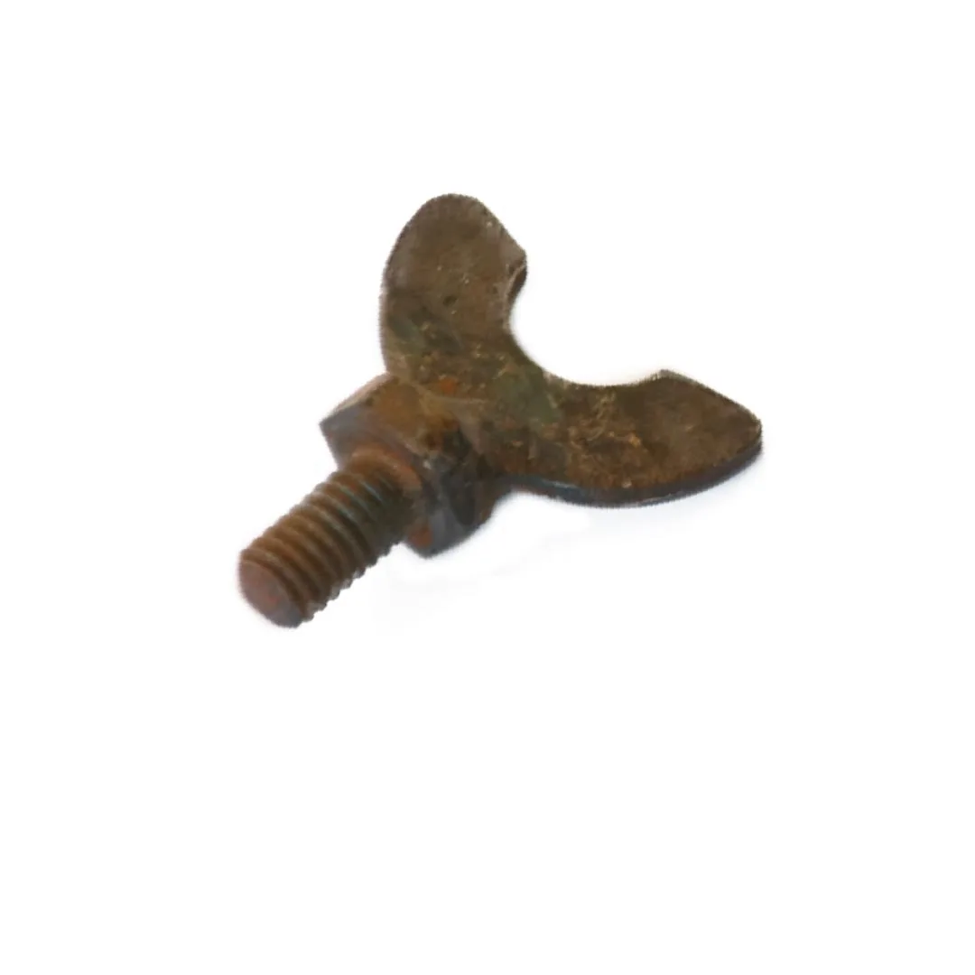 This Machine Screws Fascists