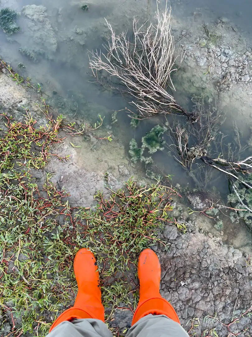 Field Work