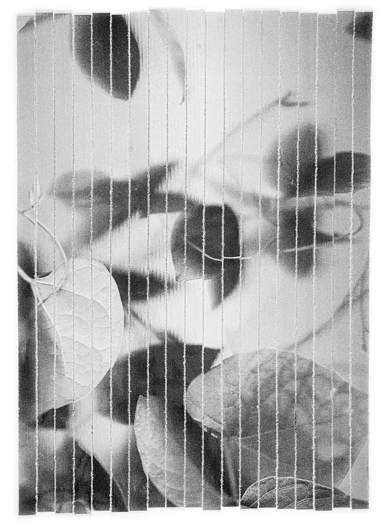 Garden of Weeds