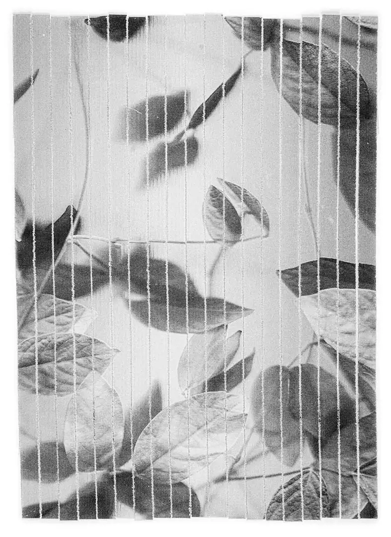 Garden of Weeds